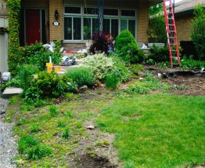 Construction: Front Yard Renovation