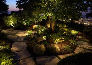 Low Voltage Night Lighting, Led and Halogen