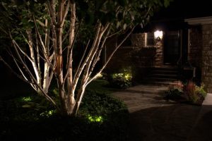 Low Voltage Night Lighting, Led and Halogen