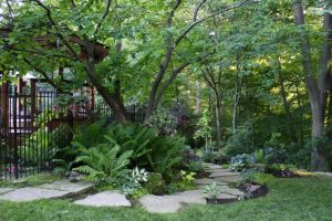 Construction : Shade Garden Creation